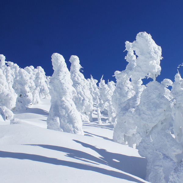 冬の西吾妻山　スノーモンスター群と広大な稜線歩き