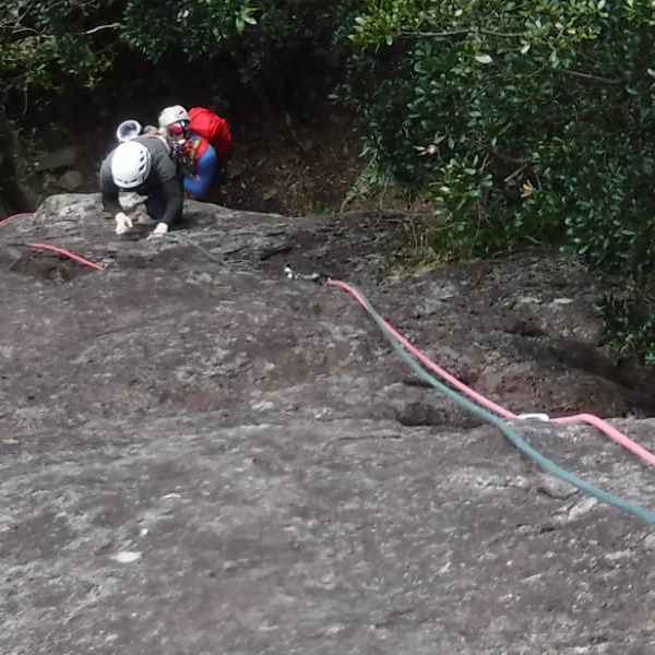 伊豆城山（標準技術編）