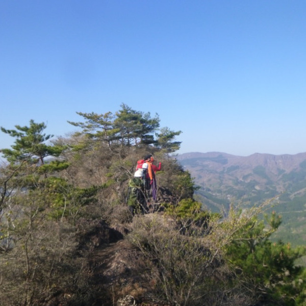 山急山(さんきゅうさん)・五輪岩周回 