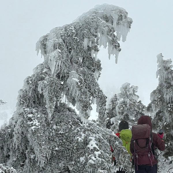 冬の西吾妻山・スノーモンスター群と広大な稜線歩き