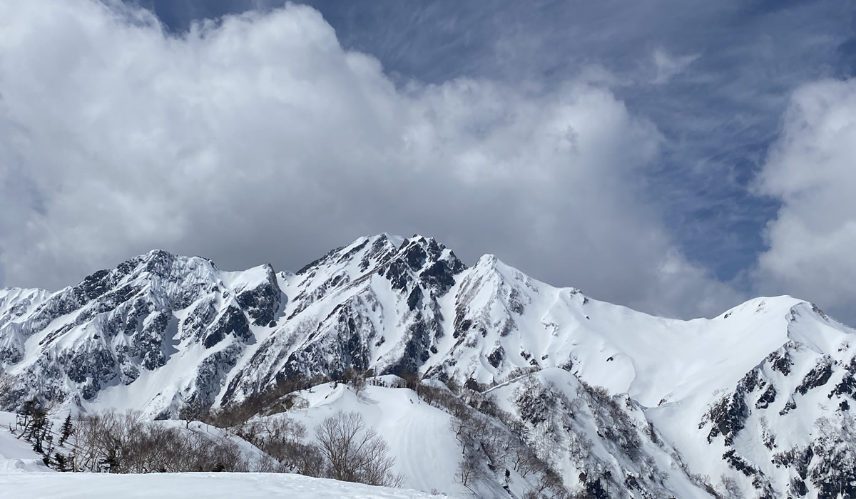 残雪の遠見尾根　カクネ里氷河と五竜武田菱