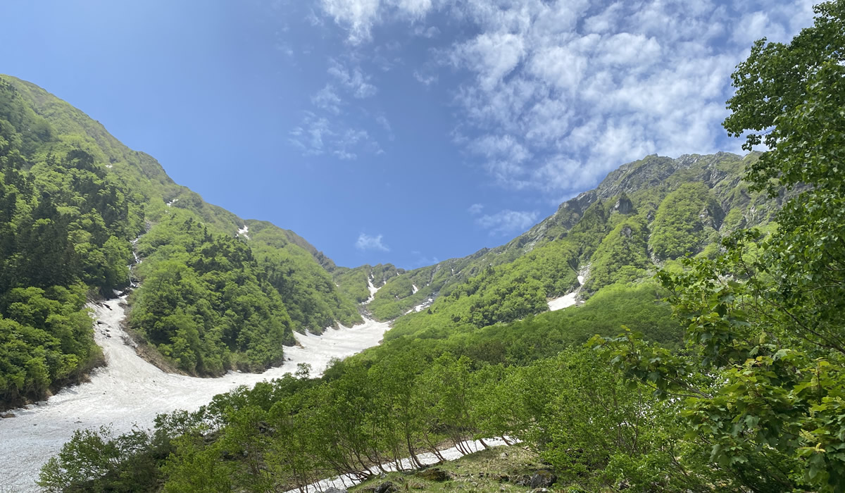 南アの名峰北岳登山とキタダケソウ