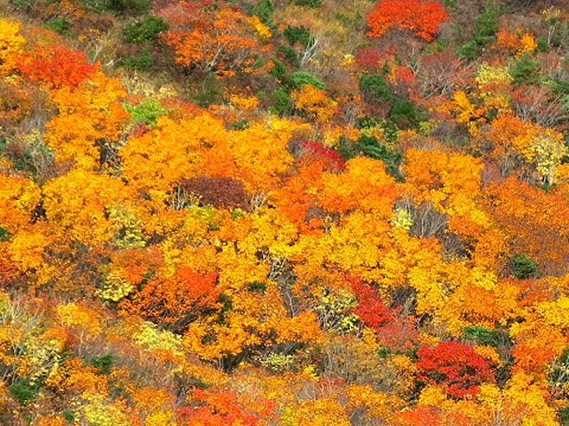 テント泊入門　高原キャンプと紅葉の安達太良山