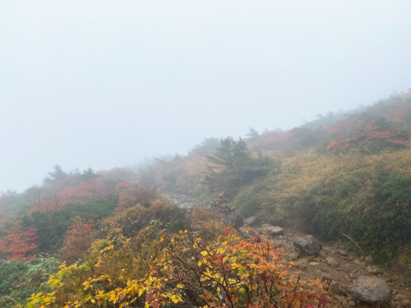 安達太良山の紅葉