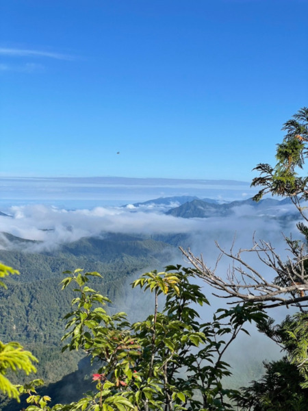 荒沢岳からの俯瞰