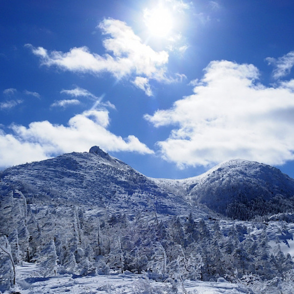 天狗岳　本格雪山登山入門　八ヶ岳天狗岳