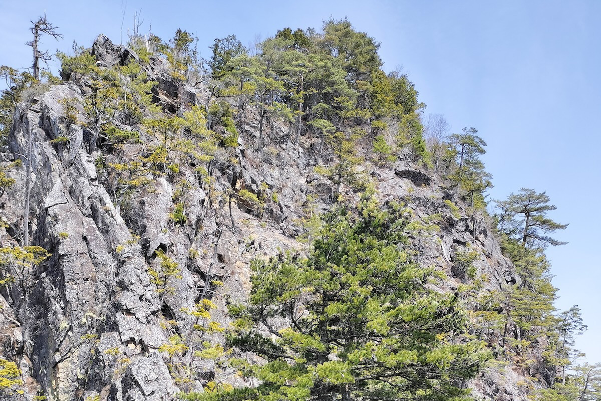 ちょこっとバリエーションシリーズ 両神山 赤岩尾根 薮岩でハイグレードハイキング