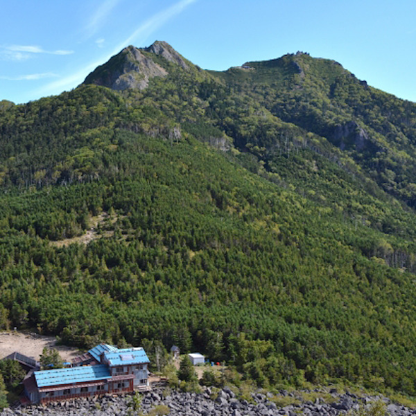 初夏の高山植物咲く八ヶ岳　権現岳登山