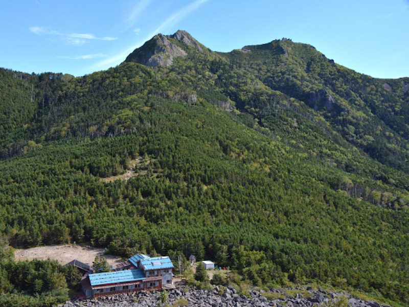 初夏の高山植物咲く八ヶ岳　権現岳登山