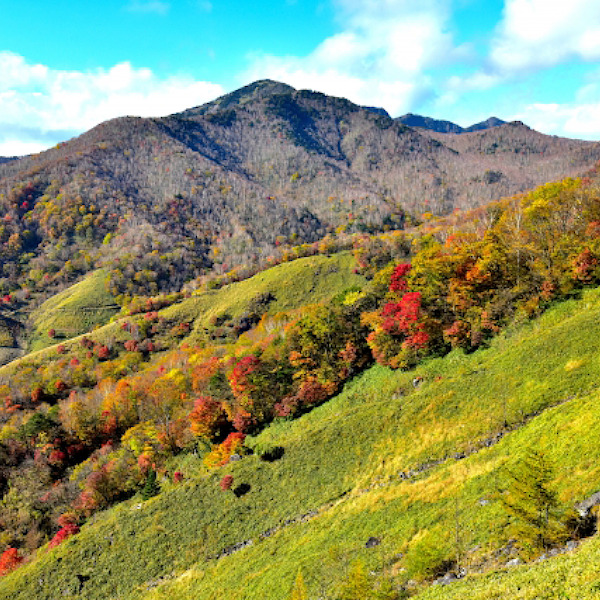 足尾山塊に君臨する静かで雄大な山　袈裟丸山（けさまるやま）