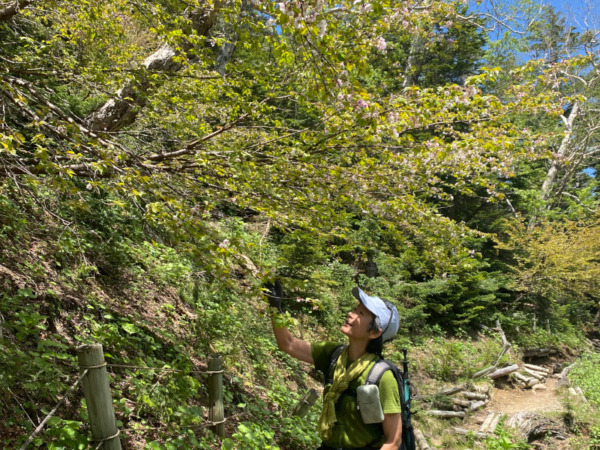 日光白根山登山