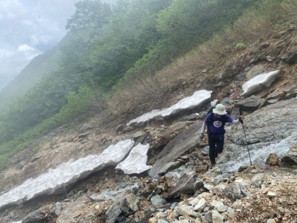 針の木雪渓と針の木岳