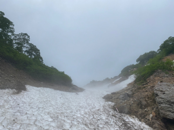 針の木雪渓と針の木岳