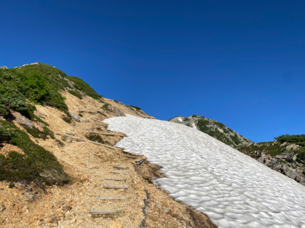 針の木雪渓と針の木岳
