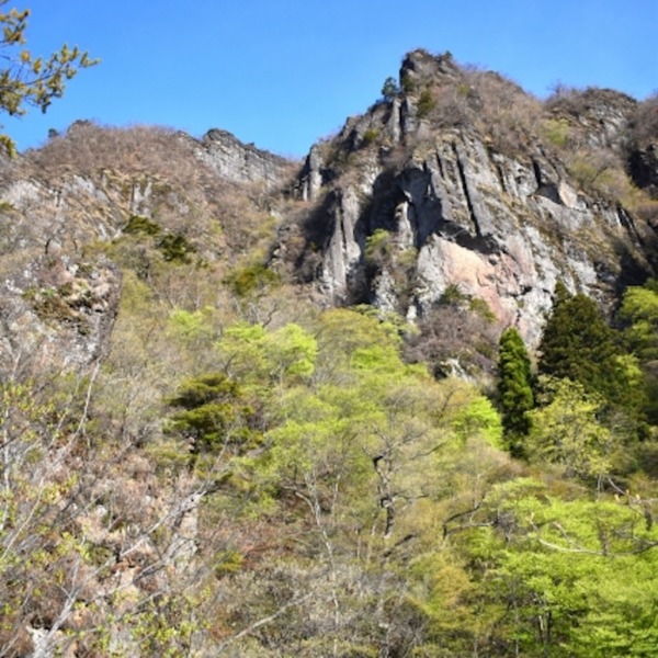 チャレンジ！裏妙義鶴峯山（かくほうさん）