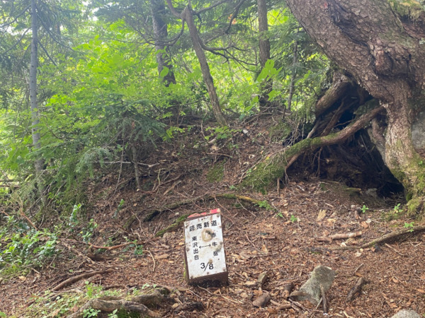 読売新道