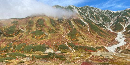 初級登山特集