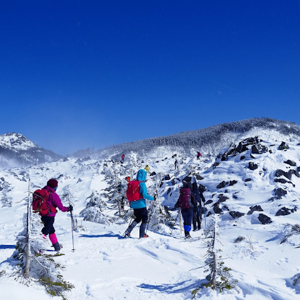 北八ヶ岳　厳冬期テント泊　北横岳周回