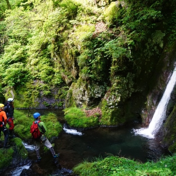 奥多摩　海沢川　沢初めの一本