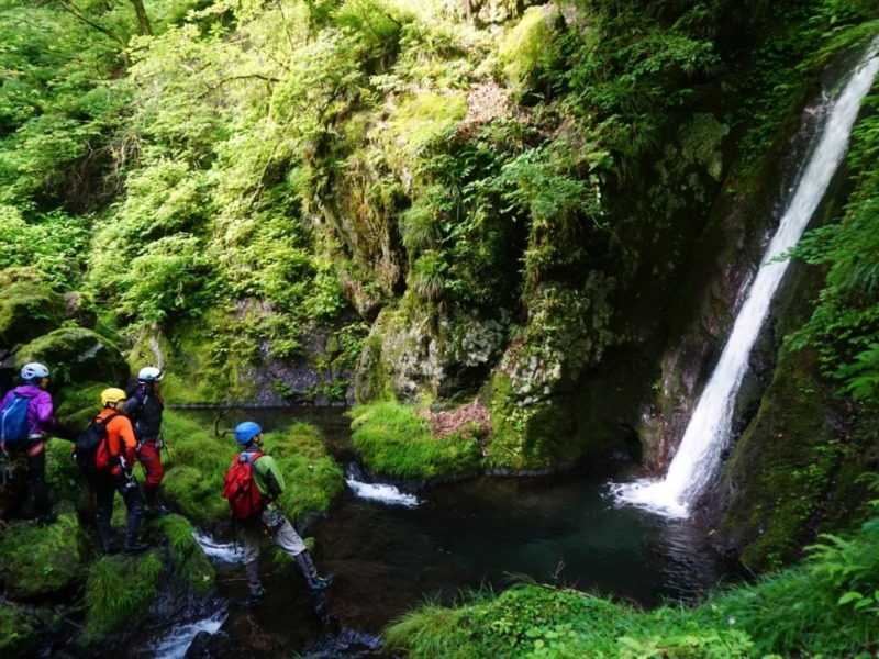 奥多摩　海沢川　沢初めの一本