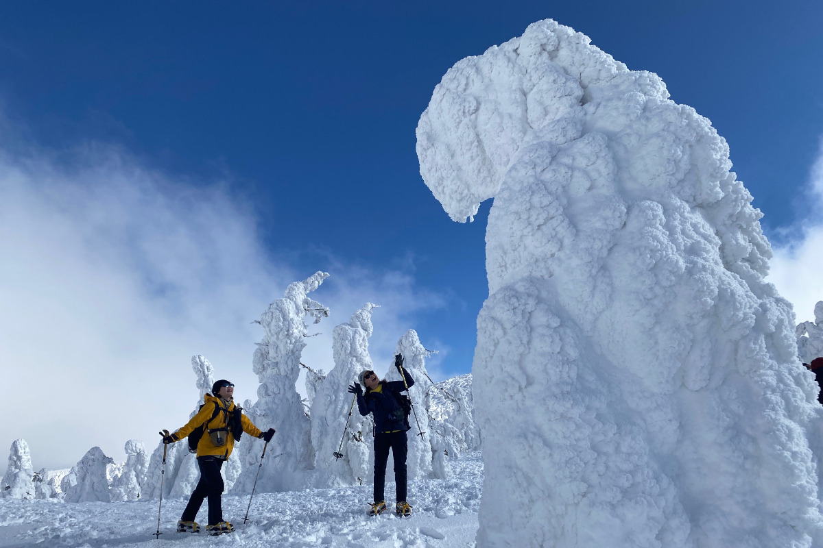 【プライベートガイド】蔵王スノーモンスターに会いに行く