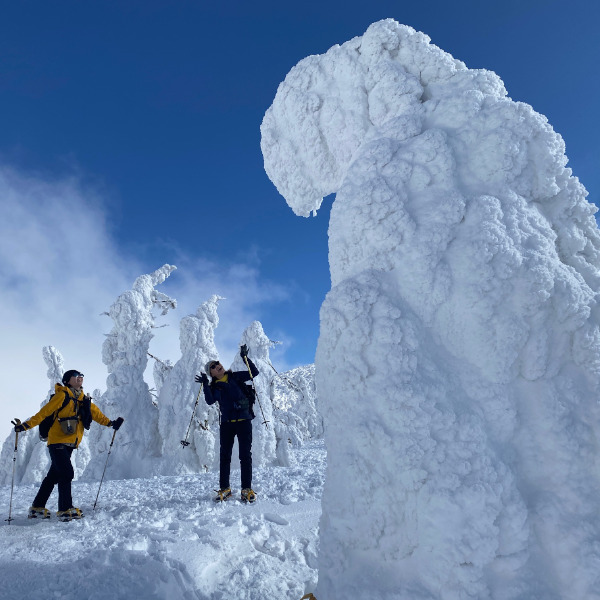【プライベートガイド】蔵王スノーモンスターに会いに行く