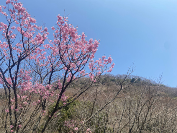 幕山ジャンダルムトレーニング