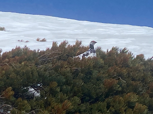 立山周遊