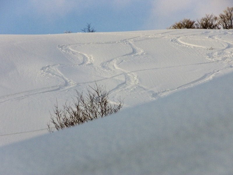 八甲田山 （酸ヶ湯温泉宿泊）