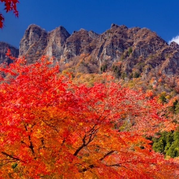 妙義富士山
