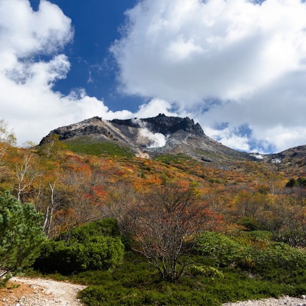 白笹山・南月山・日の出平周回