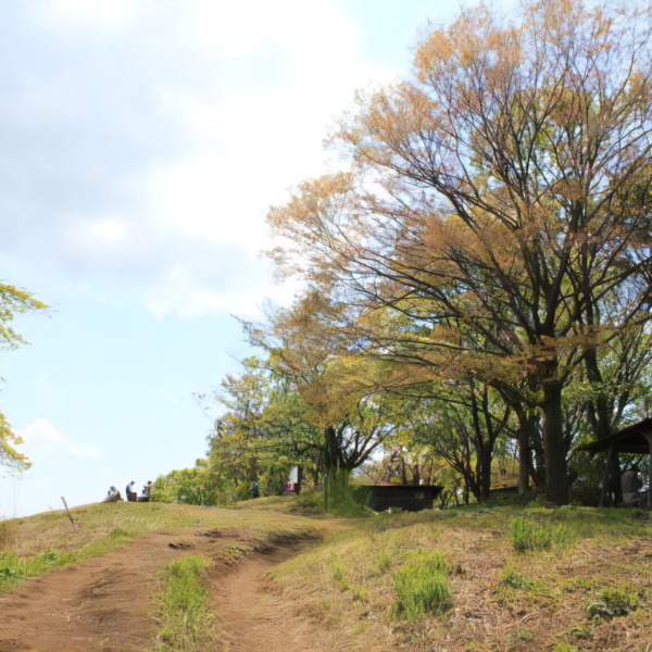 Step 1　アップダウンに慣れる『景信山』