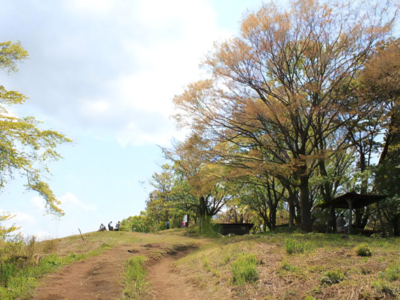 Step 1　アップダウンに慣れる『景信山』