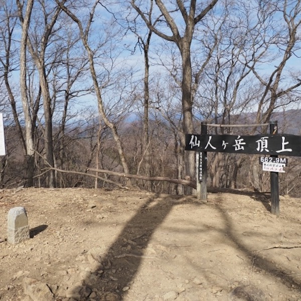 仙人ヶ岳