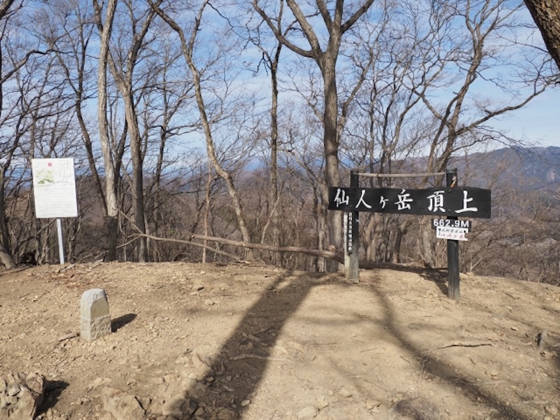 仙人ヶ岳