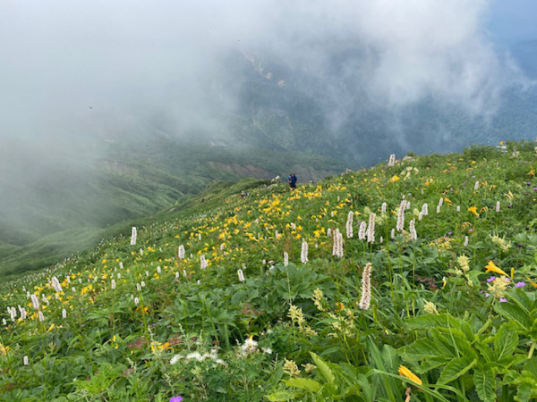 白山