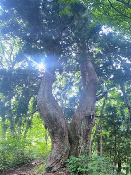 早月尾根で剱岳