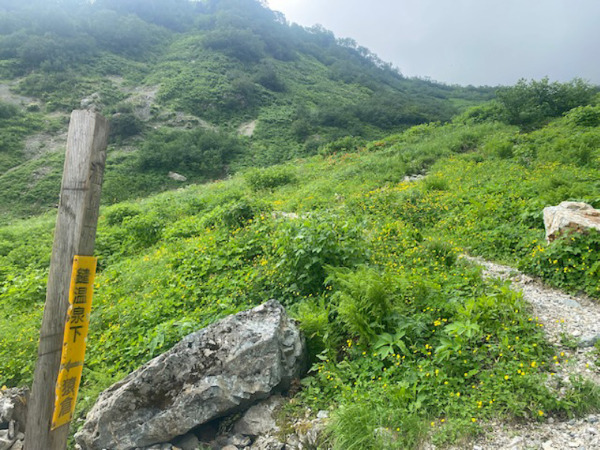 不帰の嶮山行レポート