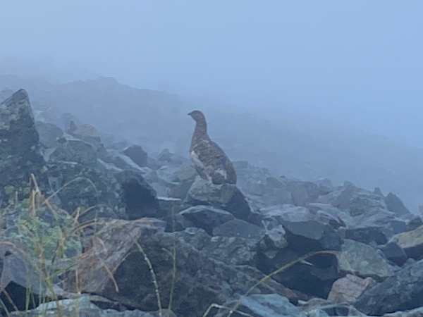 奥穂高岳